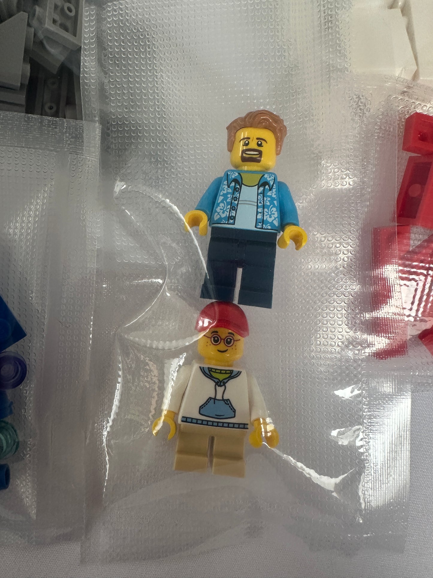 Two LEGO minifigures with blue shirts and glasses on a clear background