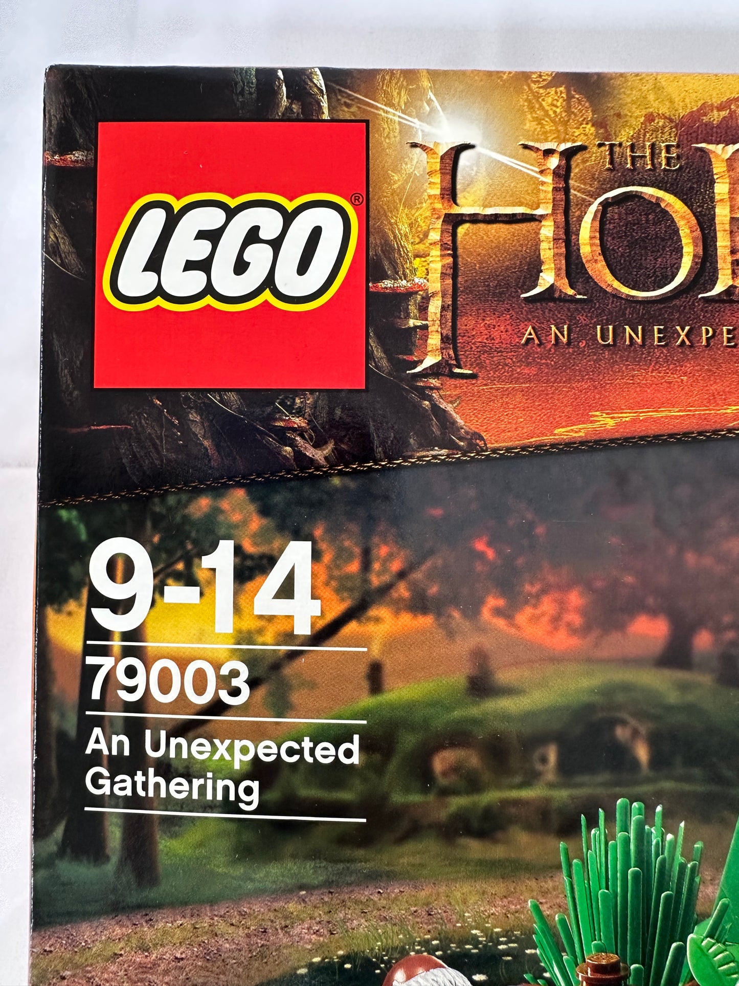 LEGO® The Hobbit: An Unexpected Gathering – 79003 – source:set Grade S-8