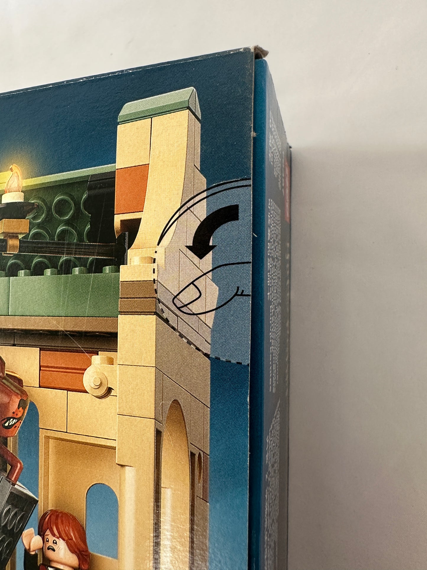 LEGO® Harry Potter: Hogwarts – Fluffy Encounter – 76387 – source:set Grade S-8